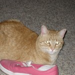 Meet the Regarding Nanny: Glenda