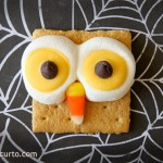 Owl S'Mores
