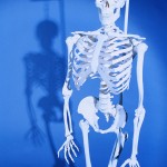 Anatomy of a Work Agreement 