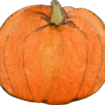 Dinner in a Pumpkin: Creative Nanny Wednesday