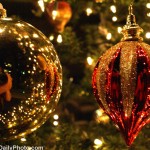 Weekend Roundup: December 6-10, 2010 