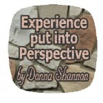 Experience put into Perspective by Donna Shannon