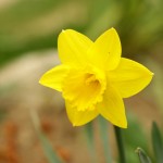 Weekend Roundup May 30- June 3, 2011