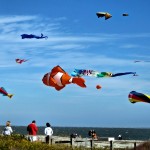 Weekend Round Up June 13-17, 2011