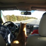 Wordless Wednesday