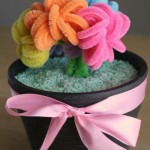 Mothers Day Craft and Humor
